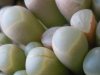 DSCN5278.jpg
