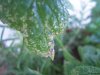 DSCN4125.JPG