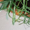 20180527_120900.jpg
