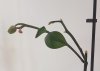20180528_182654.jpg
