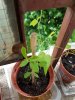 20180530_161648.jpg
