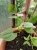 20180530_180245.jpg