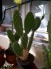 IMG_20180605_182619.jpg