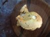 DSC02645.JPG