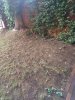 IMG_20180613_185444.jpg