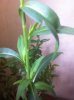 IMG_20180619_232224.jpg