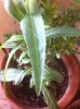 IMG_20180619_232233.jpg