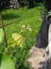 IMG_20180622_093725.jpg