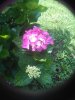 IMG_20180622_093629.jpg