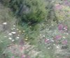 20180524_115125.jpg