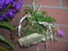 DSCN9732.jpg