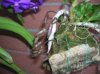 DSCN9731.jpg