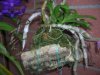 DSCN9728.jpg