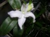 DSCN9743.jpg