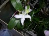 DSCN9744.jpg
