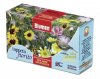 Prato fiorito Blumen sole uccelli.jpg