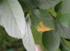 DSCN7493.jpg