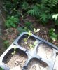 IMG-20180701-WA0003.jpg