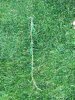 WhatsApp Image 2018-07-06 at 14.06.49.jpeg