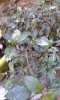 20180709_083635.jpg
