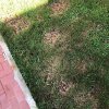 202C1389-9CFB-44F8-BE81-4D884C06FA68.jpeg