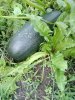 IMG-20180712-WA0016.jpg