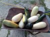 IMG-20180712-WA0014.jpg