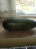 IMG-20180712-WA0017.jpg