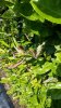 20180518_115519.jpg