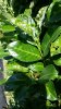 20180630_095929.jpg