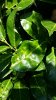 20180630_095939.jpg