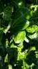 20180630_095955.jpg