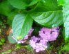 IMG_20180710_190417.jpg