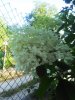 IMG_20180714_073905.jpg