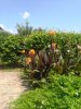IMG_20180715_144058.jpg