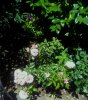 IMG_20180717_125606.jpg