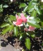 IMG_20180717_125729.jpg