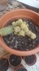 20180725_172328.jpg 20180725_172328.jpg