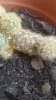 20180725_172310.jpg 20180725_172310.jpg