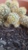 20180725_172324.jpg 20180725_172324.jpg