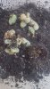 20180725_201644.jpg