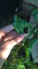 WP_20180731_08_02_16_Pro.jpg