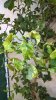 WP_20180731_08_02_28_Pro.jpg
