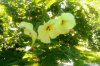 IMG_20180718_105213.jpg