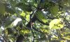 IMG-20180707-WA0004.jpg