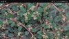 IMG-20180812-WA0001.jpg