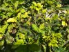IMG_20180815_104049-800x600.jpg