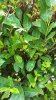 20180818_115810.jpg