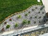 IMG_20180610_182825.jpg