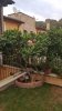 rps20180822_194623.jpg